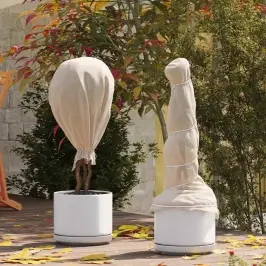 Sals Aizsardzības Augu Flīss Bēša 50 X 1,6 M Nesintētā Auduma Vidaxl