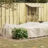 Sals Aizsardzības Augu Flīss Bēša 20 X 1,6 M Nesintētā Auduma Vidaxl