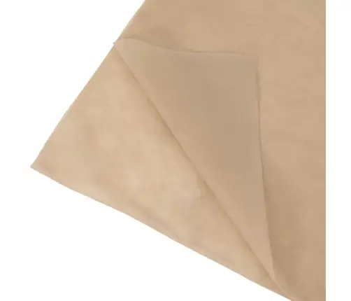 Sals Aizsardzības Augu Flīss Bēša 100 X 1,6 M Nesintētā Auduma Vidaxl