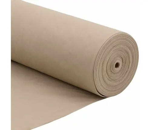 Sals Aizsardzības Augu Flīss Bēša 50 X 3,2 M Nesintētā Auduma Vidaxl