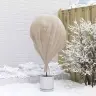 Sals Aizsardzības Augu Flīss Bēša 50 X 3,2 M Nesintētā Auduma Vidaxl