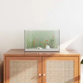Akvārijs Ar Uzglabāšanu Caurspīdīgs 40 X 25 X 25 Cm Stikls Vidaxl