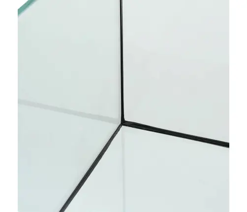 Akvaarium Ladustamisega Läbipaistev 60 X 20 X 20 Cm Klaas