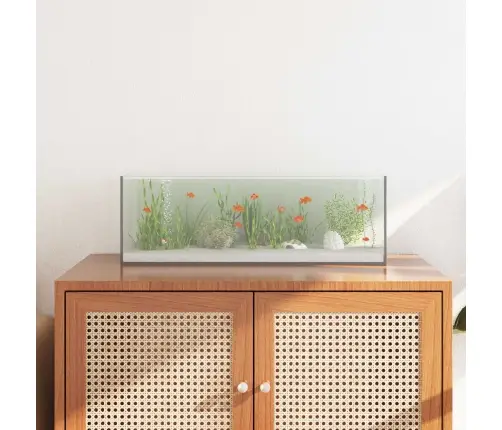 Akvaarium Ladustamisega Läbipaistev 60 X 20 X 20 Cm Klaas