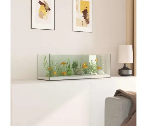 Akvaarium Ladustamisega Läbipaistev 60 X 20 X 20 Cm Klaas