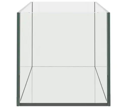 Akvaarium Ladustamisega Läbipaistev 60 X 20 X 20 Cm Klaas