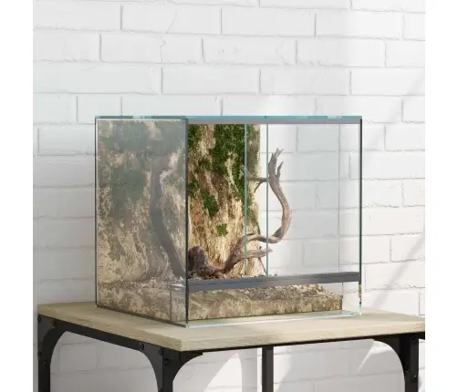Rāpuļu Un Amfībiju Biotopi Balts 30 X 30 X 30 Cm Stikls Vidaxl