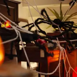 Halloween Ämblik Dekoratsioon Võrkudega 4 Pcs Must Ja Valge