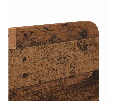 Galvgalis Ar Galvas Klāju Vecs Koks 120 Cm Inženierijas Koks Vidaxl