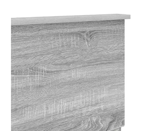 Galvgalis Pelēks Sonoma 160 Cm Inženierijas Koks Vidaxl