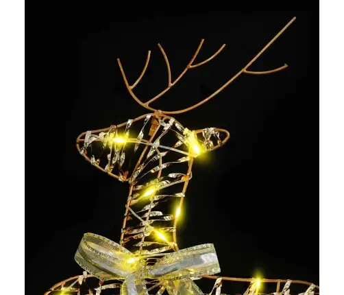 Led Elniai Su 40 Led 2 Pcs Šilta Balta Pet