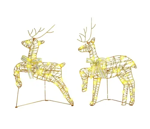 Led Elniai Su 40 Led 2 Pcs Šilta Balta Pet