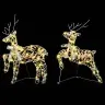 Led Puhlid Koos 40 Led-Iga 2 Pcs Soe Valge Pet