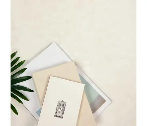 Mākslīgā Truša Kažokādas Paklājs Balts 80 X 200 Cm Poliesters Vidaxl