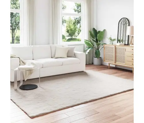 Mākslīgā Truša Kažokādas Paklājs Bēša 240 X 340 Cm Poliesters Vidaxl