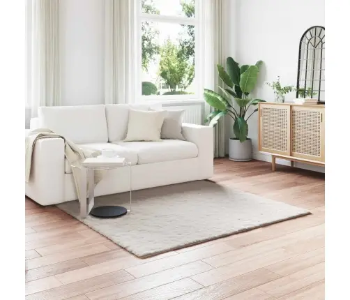 Mākslīgā Truša Kažokādas Paklājs Bēša 160 X 160 Cm Poliesters Vidaxl