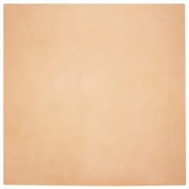 Mākslīgā Truša Kažokādas Paklājs Pelēkbrūna 160 X 160 Cm Vidaxl Mākslīgā Truša Kažokādas Paklājs Pelēkbrūna 160 X 160 Cm Vidaxl