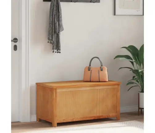 Uzglabāšanas Kaste Vienkrāsains Vidaxl