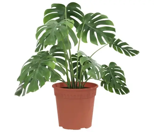 Apaļais Puķu Pods 6 Pcs Ķieģeļu Sarkans Ø 19 X 16 Cm Plastmasa Vidaxl