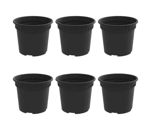 Apaļais Puķu Pods 6 Pcs Melna Ø 12,5 X 10 Cm Plastmasa Vidaxl