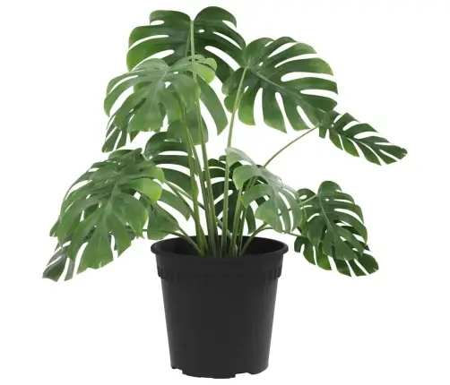 Apaļais Puķu Pods 24 Pcs Melna Ø 19 X 16 Cm Plastmasa Vidaxl