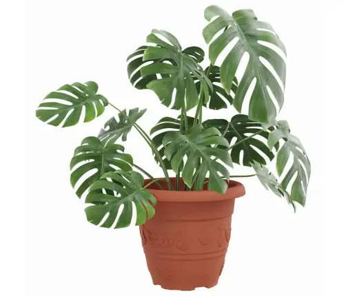 Apaļais Puķu Pods 6 Pcs Ķieģeļu Sarkans Ø 26 X 21.5 Cm Vidaxl