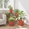 Apaļais Puķu Pods 6 Pcs Ķieģeļu Sarkans Ø 26 X 21.5 Cm Vidaxl