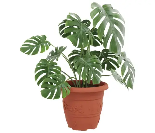 Apaļais Puķu Pods 6 Pcs Ķieģeļu Sarkans Ø 26 X 21.5 Cm Vidaxl