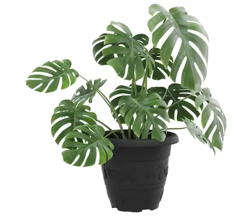 Apaļais Puķu Pods 6 Pcs Melna Ø 26 X 21.5 Cm Plastmasa Vidaxl