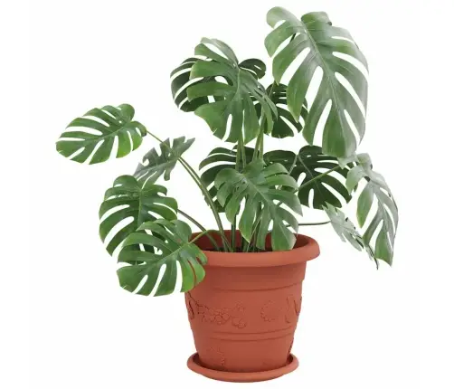 Apaļa Ziedu Palete 6 Pcs Ķieģeļu Sarkans Ø 14 X 2 Cm Plastmasa Vidaxl