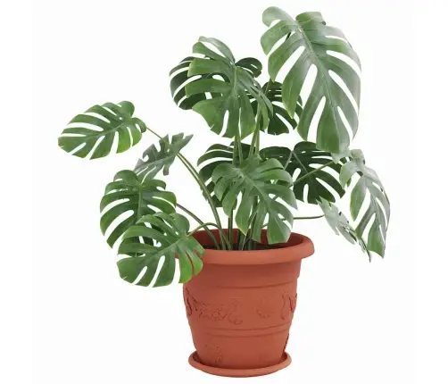 Apaļa Ziedu Palete 6 Pcs Ķieģeļu Sarkans Ø 14 X 2 Cm Plastmasa Vidaxl