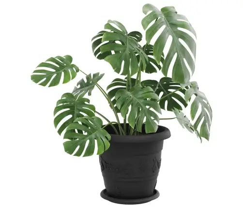 Apaļa Ziedu Palete 6 Pcs Melna Ø 14 X 2 Cm Plastmasa Vidaxl