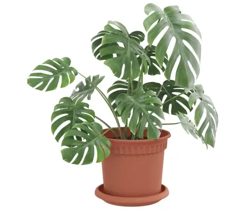 Apaļa Ziedu Palete 24 Pcs Ķieģeļu Sarkans Ø 14 X 2 Cm Plastmasa Vidaxl