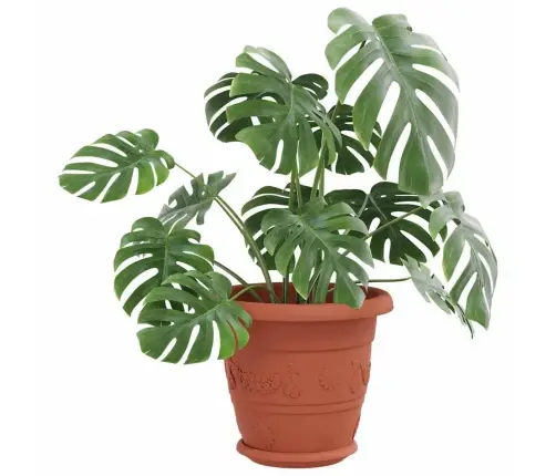 Apaļa Ziedu Palete 24 Pcs Ķieģeļu Sarkans Ø 14 X 2 Cm Plastmasa Vidaxl