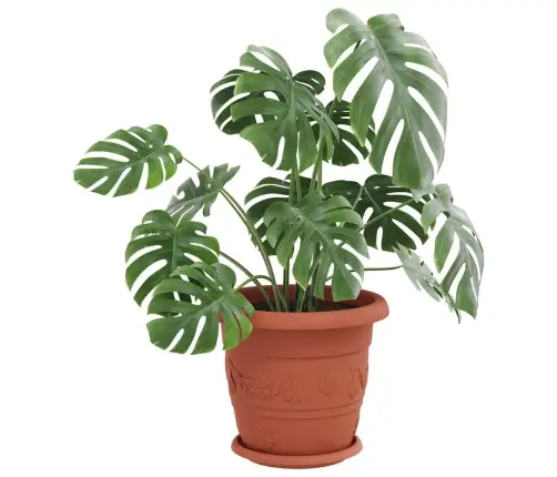 Apaļa Ziedu Palete 24 Pcs Ķieģeļu Sarkans Ø 14 X 2 Cm Plastmasa Vidaxl