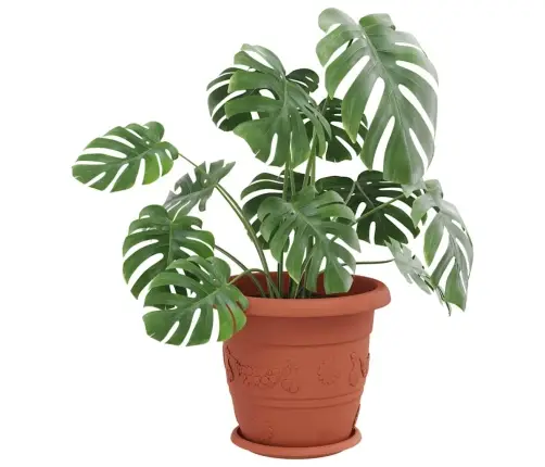 Apaļa Ziedu Palete 24 Pcs Ķieģeļu Sarkans Ø 14 X 2 Cm Plastmasa Vidaxl