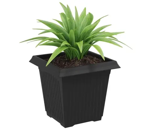 Kvadrātveida Ziedu Pods 6 Pcs Melna 43 X 43 X 33.5 Cm Plastmasa Vidaxl