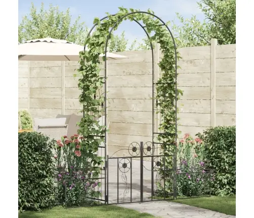 Dārza Arka Vienkrāsains Melna 203 X 50 X 218 Cm Vidaxl