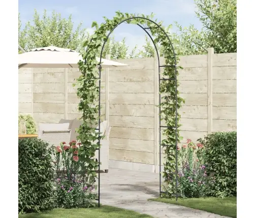 Dārza Arka Ziedu Raksts Melna Vidaxl