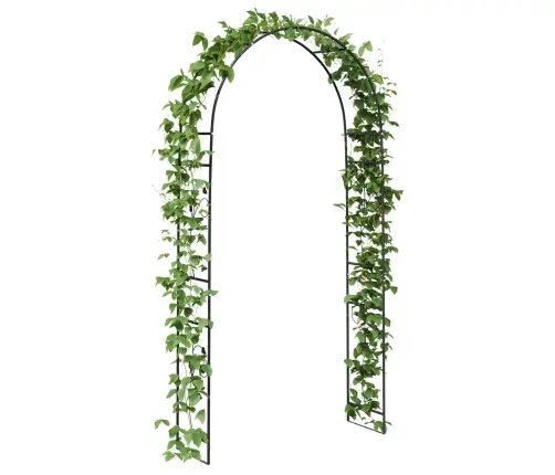 Dārza Arka Ziedu Raksts Melna Vidaxl