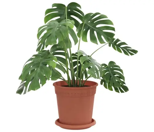 Taimepotid 6 Pcs Kohviroosa Ø 17 X 14 Cm Plastmass