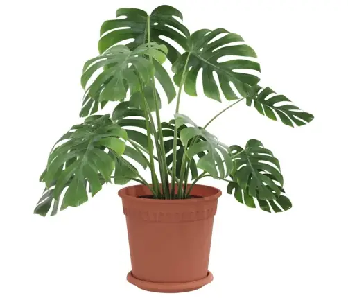 Augalų Vazonai 6 Pcs Raudona Plyta Ø 19 X 16 Cm Plastmasė