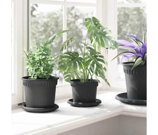 Taimepotid 24 Pcs Must Ø 12,5 X 10 Cm Plastmass