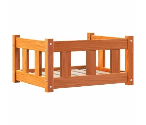 Šuo Lova Vaško Ruda 55 X 45 X 28 Cm Kietos Pušies Mediena