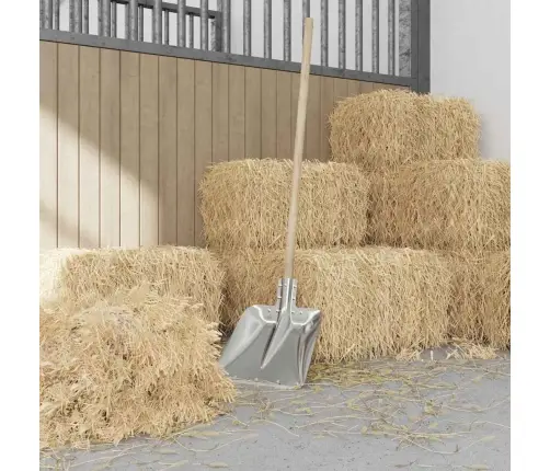 Kastuvo Galva Sidabro 45 X 38 Cm Aliuminis