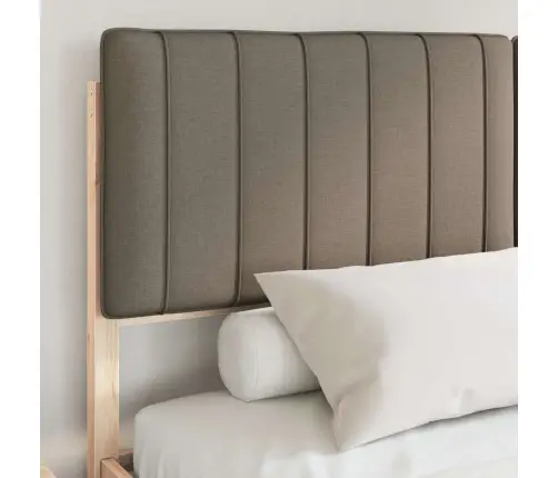 Gultas Rāmis Ar Polsterētu Galvas Balstu Pelēkbrūna Vidaxl