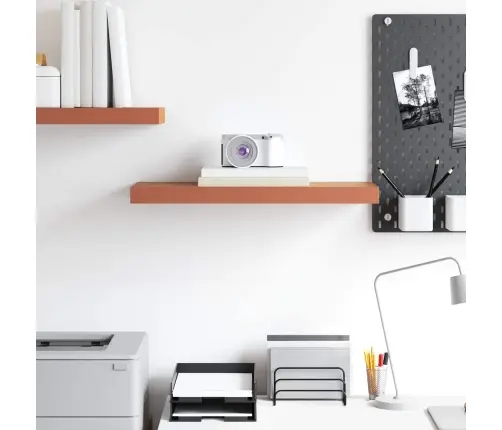 Sieninė Lentyna Raudona 50 X 23 X 4 Cm Apdirbta Mediena