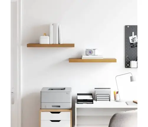 Seinariiul Ladustamisega 2 Pcs Pruun 50 X 23 X 4 Cm Tehispuit