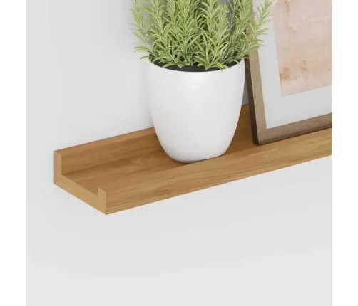 Sieninė Lentyna 4 Pcs Ruda 60 X 9 X 3 Cm Apdirbta Mediena