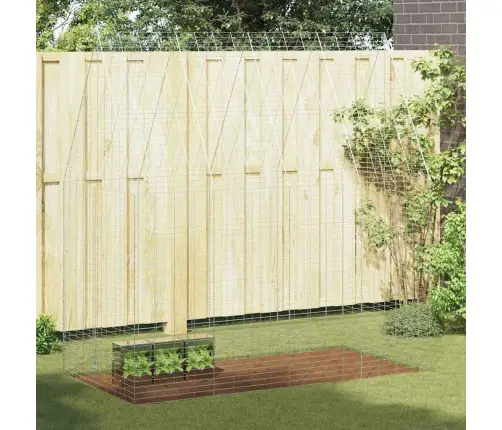 Triušių Narvas Sidabro 400 X 100 X 210 Cm Cinkuota Plienas